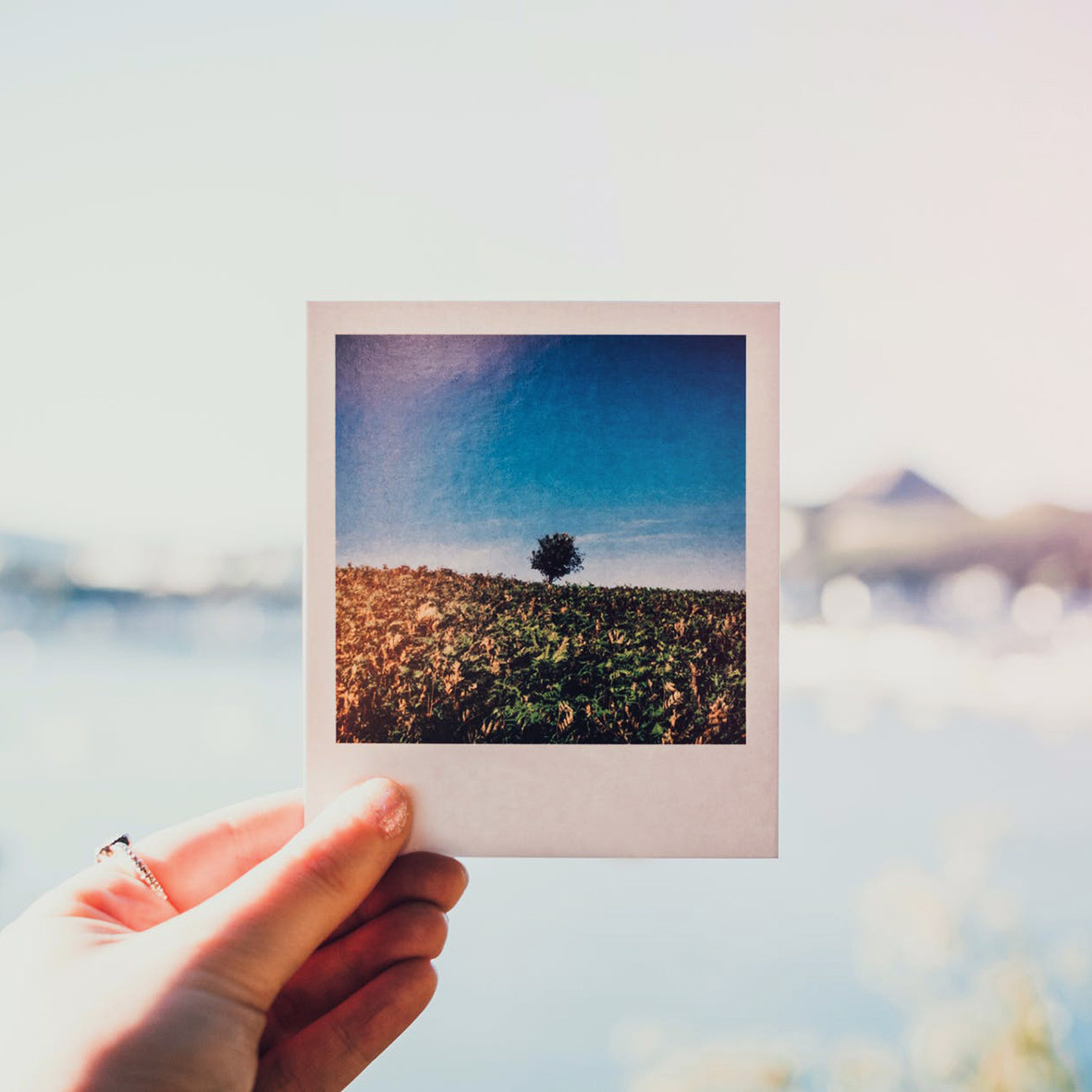 Фотокарточки